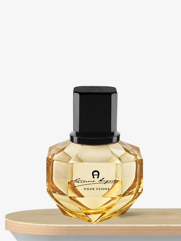 Aigner Etienne Eau De Parfum 100 mL / Female