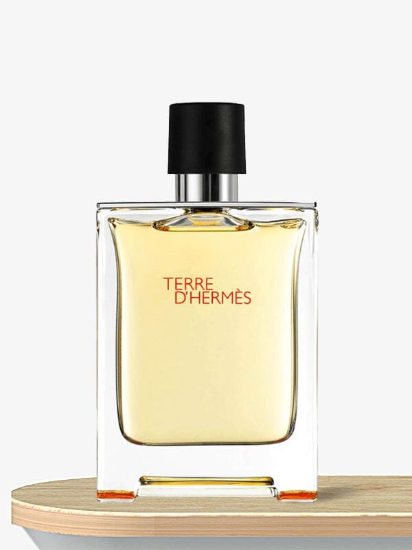Hermes Terre D 'Hermes Eau de Toilette 100 mL / Male