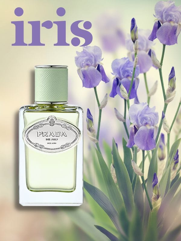 Prada Infusion d'Iris Eau De Parfum