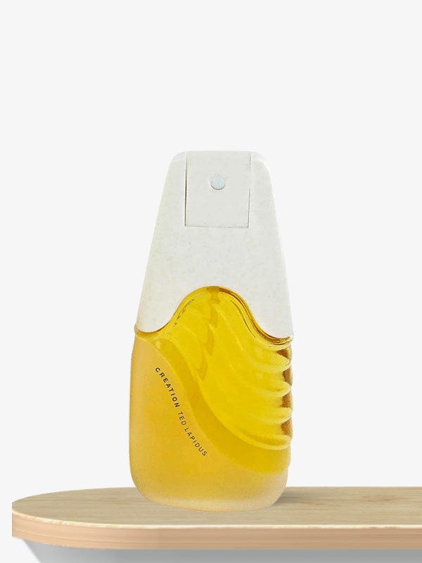 Ted Lapidus Creation Eau de Toilette 100 mL / Male