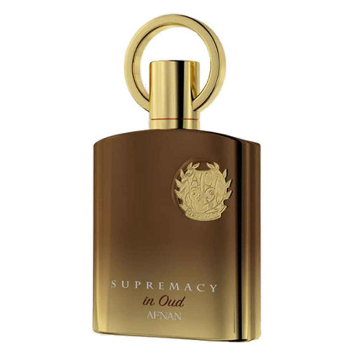 Club De Nuit Intense Man Eau de Toilette (105ml) 105 mL / Men