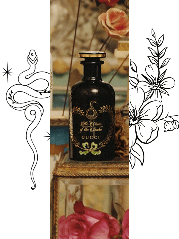 Gucci The Voice Of The Snake Eau de Parfum Nazakah